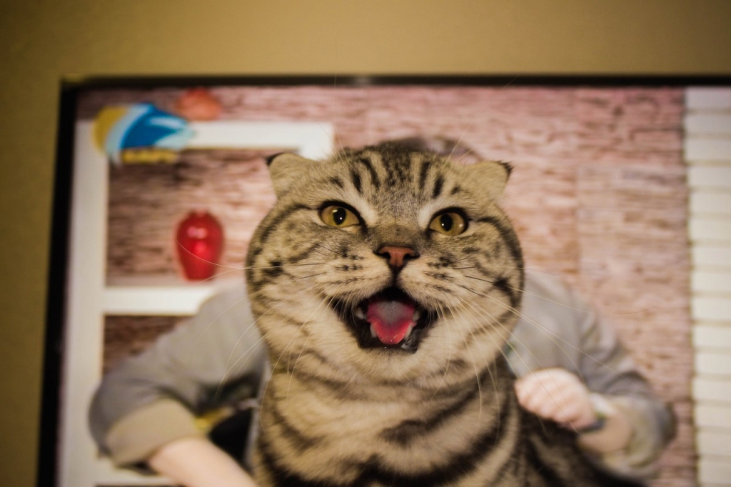 !!!Яна Соловьёва.jpg